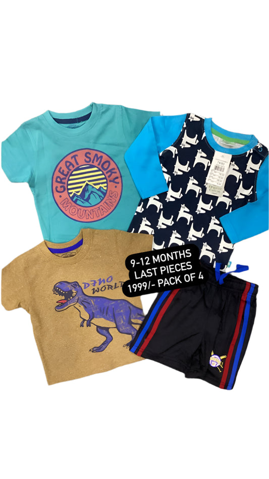 Kids Boys Summer Deal 9-12 Months Shirts and Short Pack of 4