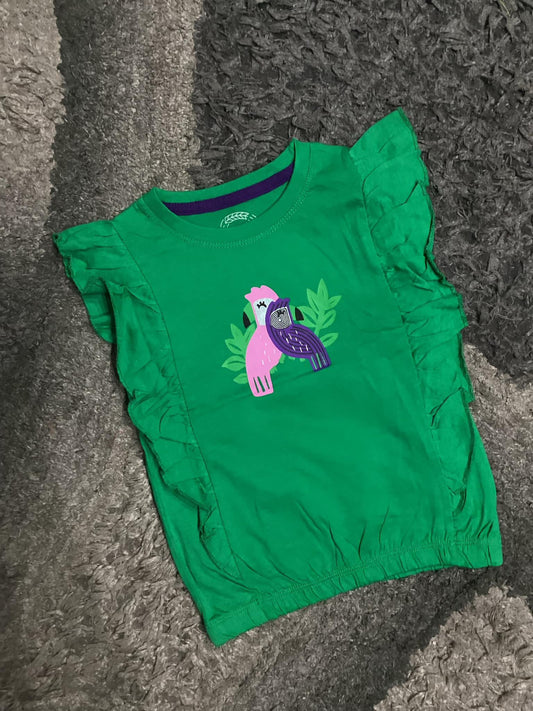 Kids Girls Summer New Arrivals T Shirts Branded Green