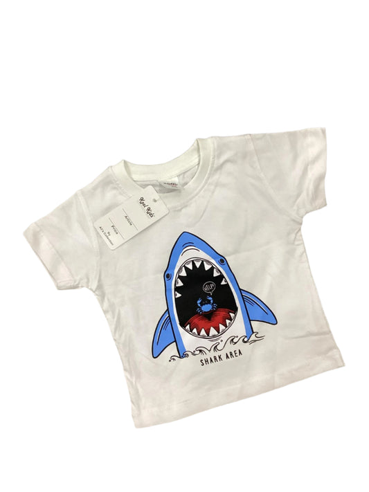 Kids Boys Summer T Shirt Branded Imported Full Sleeves Mid Weather