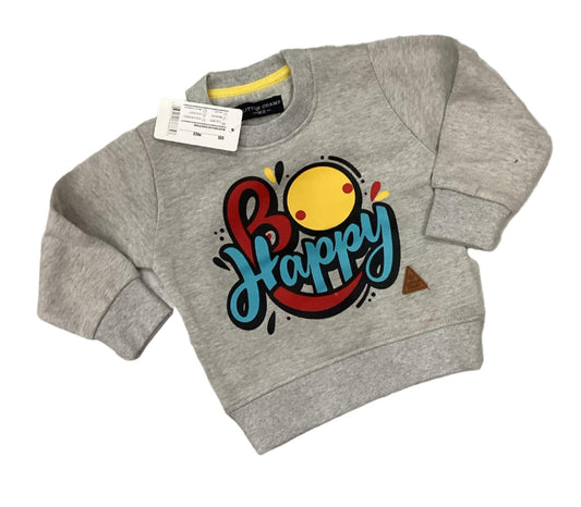 Kids Boys Winter Fleece Warm Sweat Shirt Imported Branded