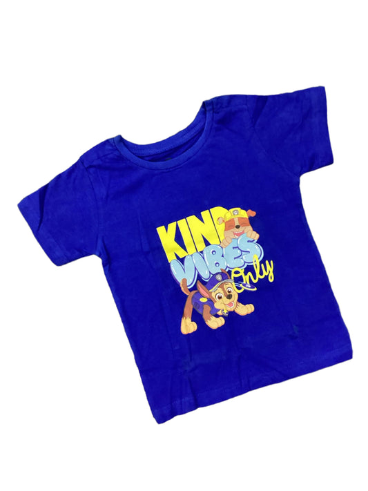 Kids Boys Summer Shirt Branded Imported